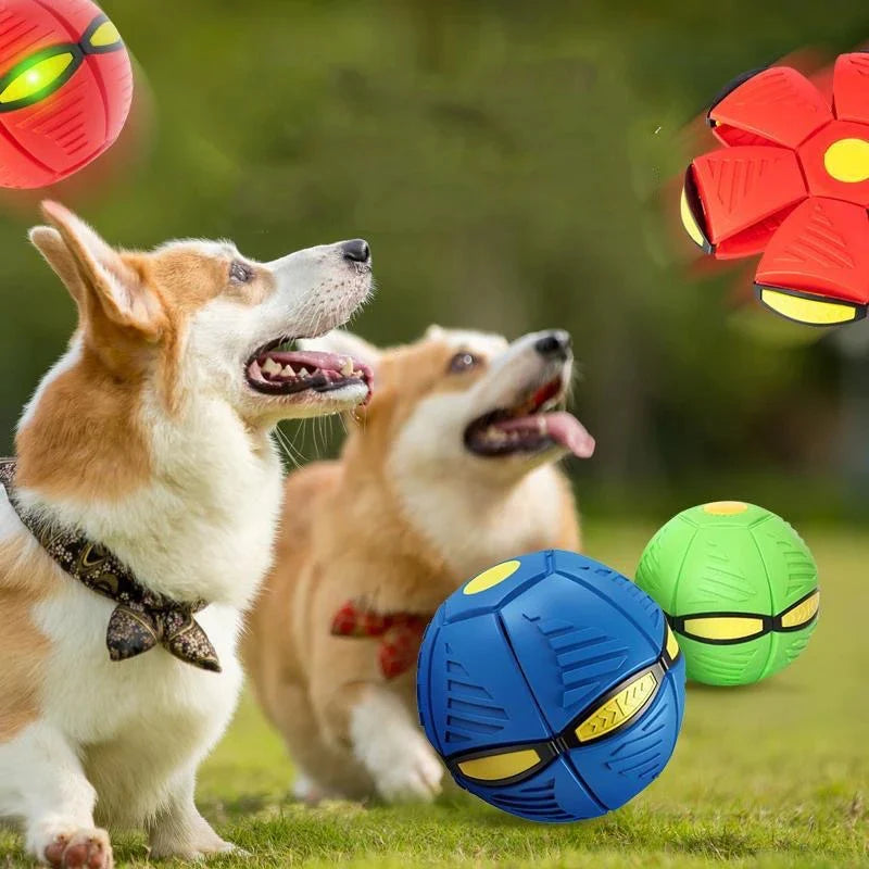 Pelota Magica Para Niño y Perros